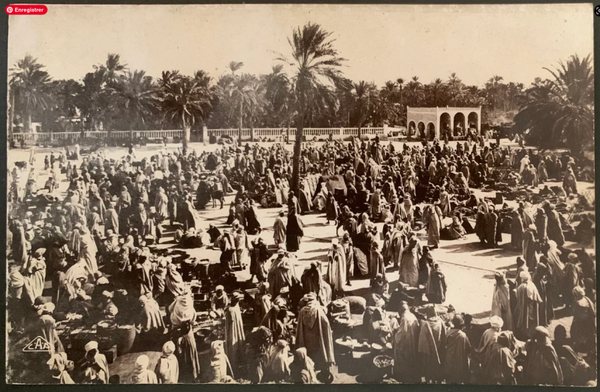🇩🇿 ALGERIA – Marketplace in the South (Touggourt Oasis) | Antique AA Logo Postcard