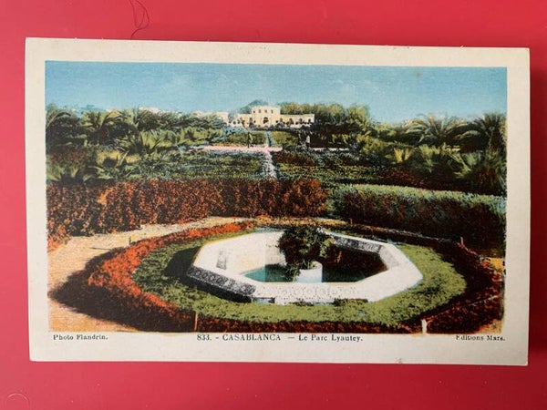 🇲🇦 CASABLANCA – Le Parc Lyautey (N° 833) [Carte Postale Ancienne] [Photo Flandrin - Colorisée] [ORIGINAL] THE COLLECTOR