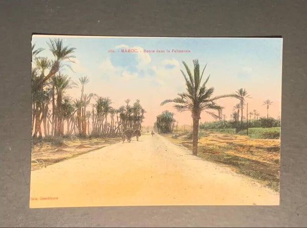 carte postale ancienne MAROC. - Route dans la Palmeraie.