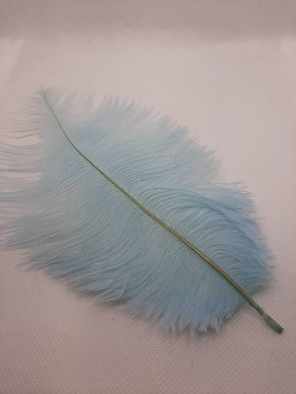 Struisvogelveer licht blauw