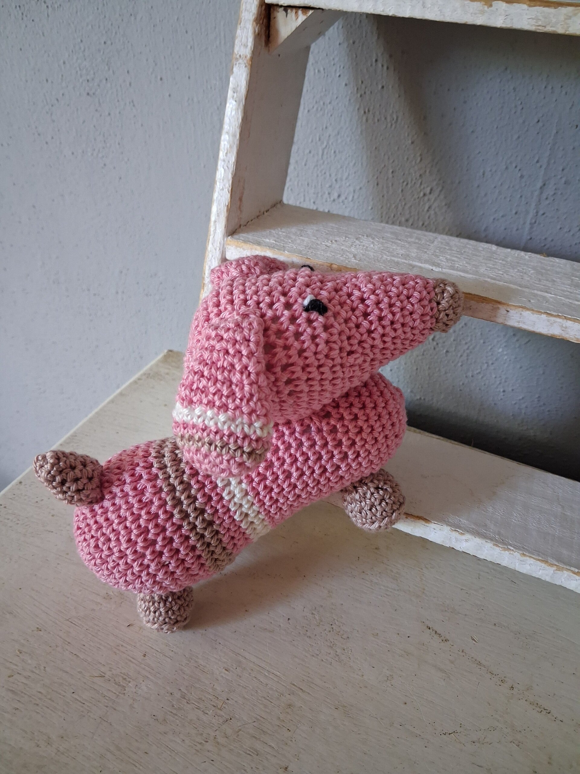 Teckel sam roze