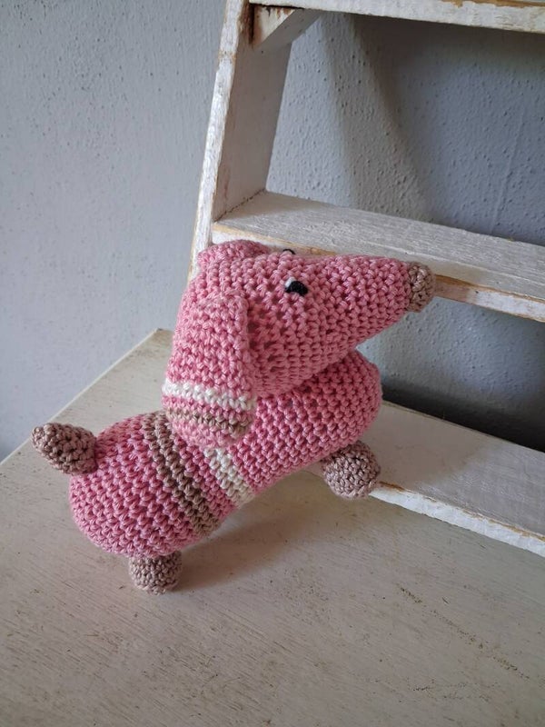 Teckel sam roze