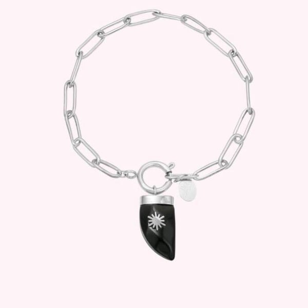 Stainless Steel zilveren armband Horn