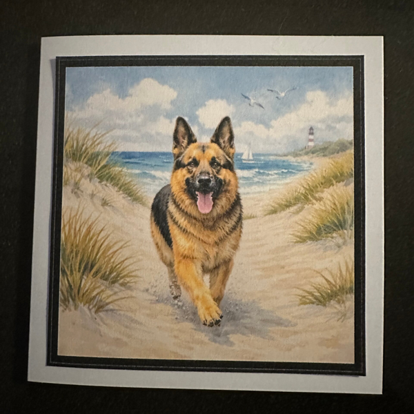 German Shepherd