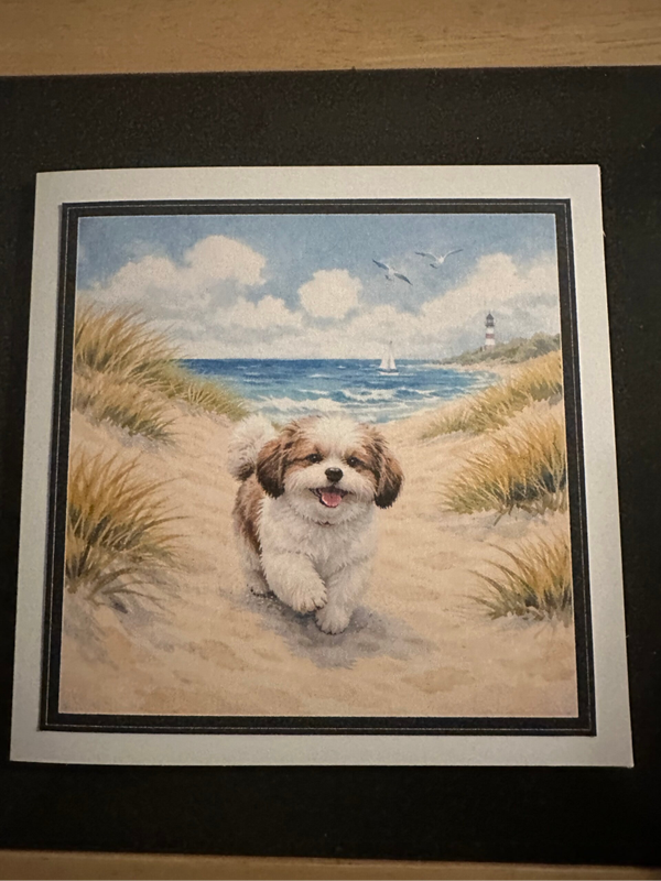 Shih Tzu Card