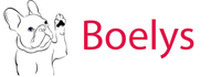 Boelys