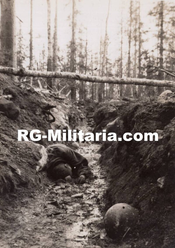 Original WW2 German Waffen SS Press Photo - SS Gebirgsjäger Division Nord, Sovjet KIA soldaat, Oostfront