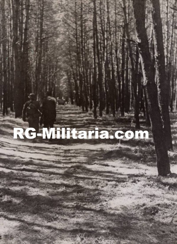 Original WW2 German SS Press Photo - SS soldiers walking in the woods, Eastern Front (1943)