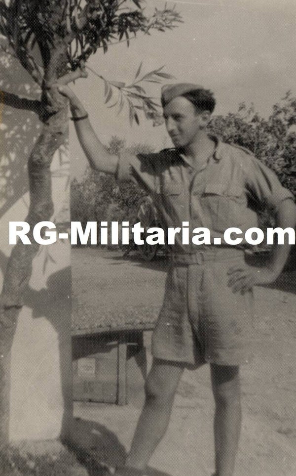 Original WW2 German Photo - Luftwaffe tropical DAK uniform