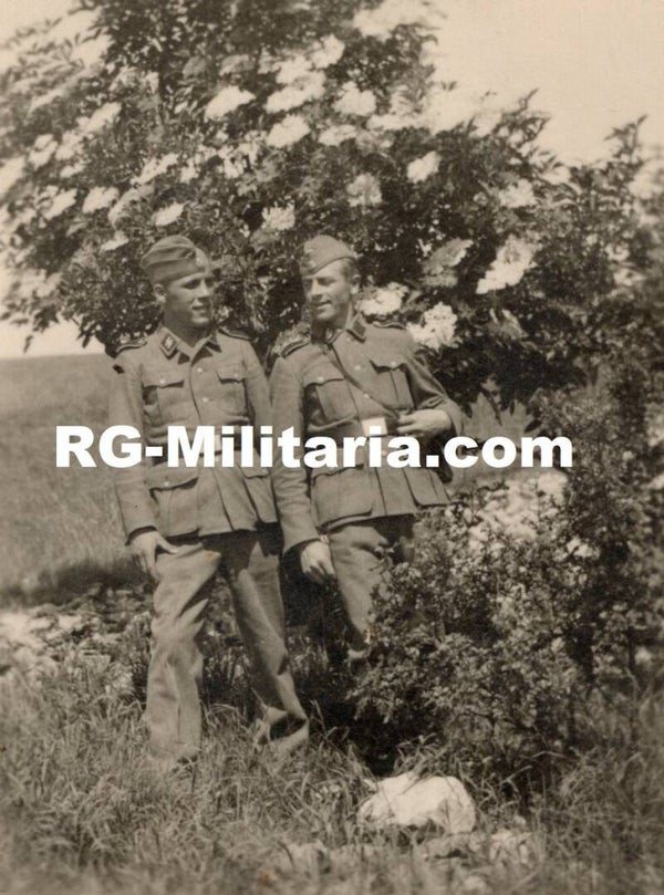 Original WW2 German Waffen SS Photo - Two SS soldiers