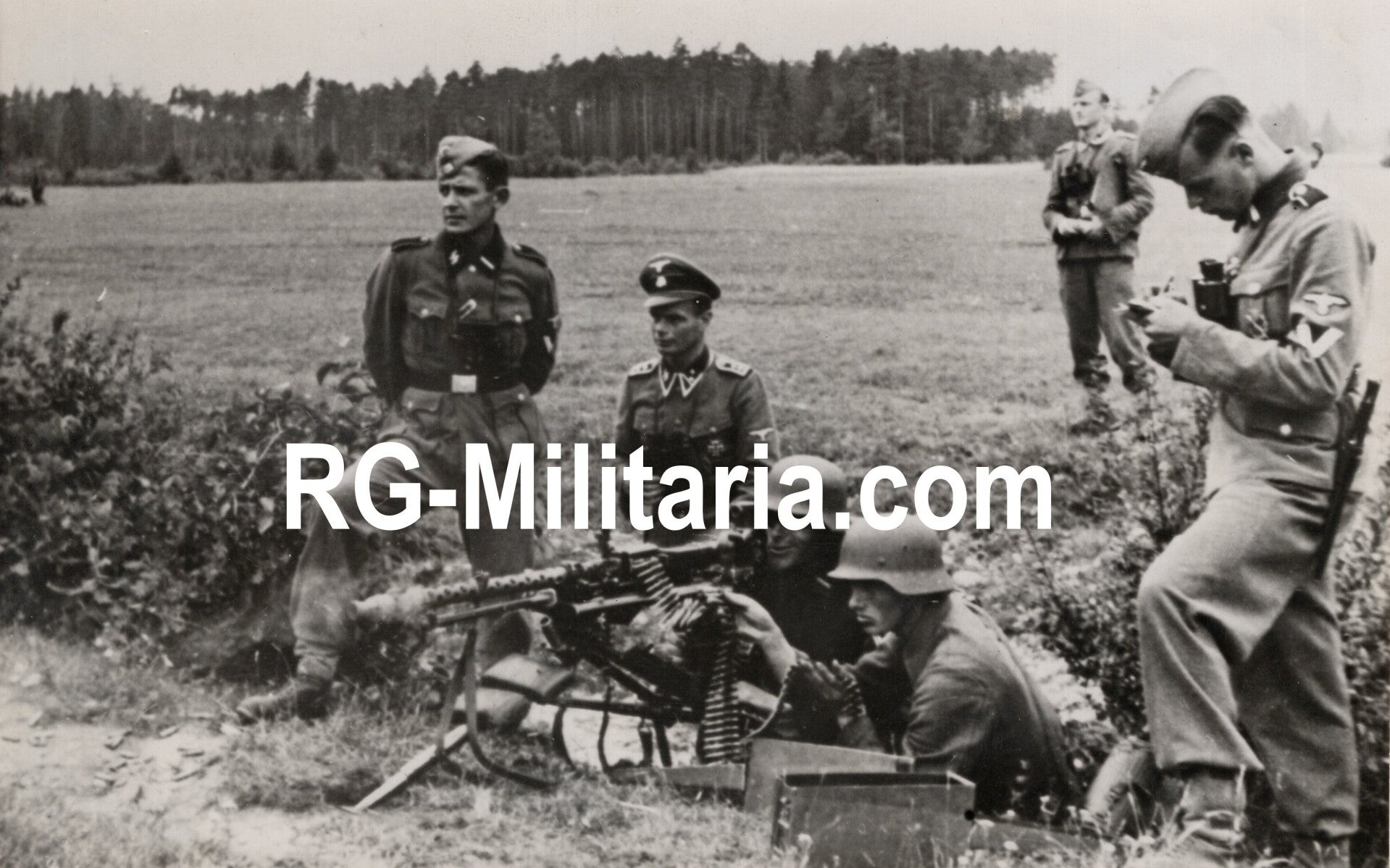 Original WW2 Dutch Waffen SS Photo - Dutch SS Regiment Westland soldiers training with an MG34 machine gun