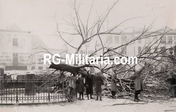 Original WW2 German Photo - Cut Dutch Wilhelminaboom, Zutphen (1940)