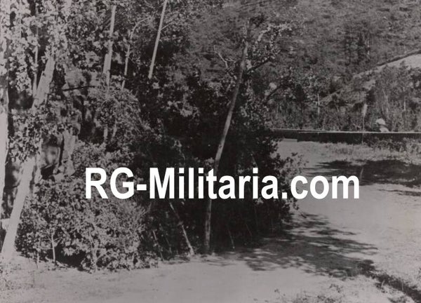Original WW2 German Press Photo - Camouflaged bushes, NSKK Transporteinheit (1944)