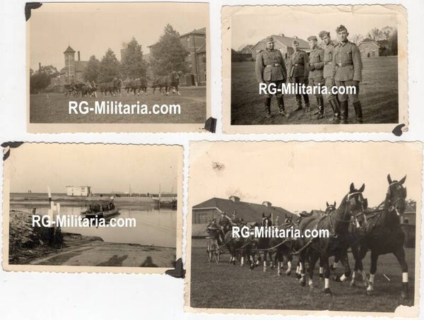 Original WW2 German Photo - Military horse show in Tilburg, Holland (1940)