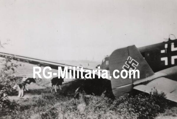 Original WW2 German Photo - Rijksweg near Delft with landed Junkers JU 52 airplane, Blitzkrieg May, Holland (1940)