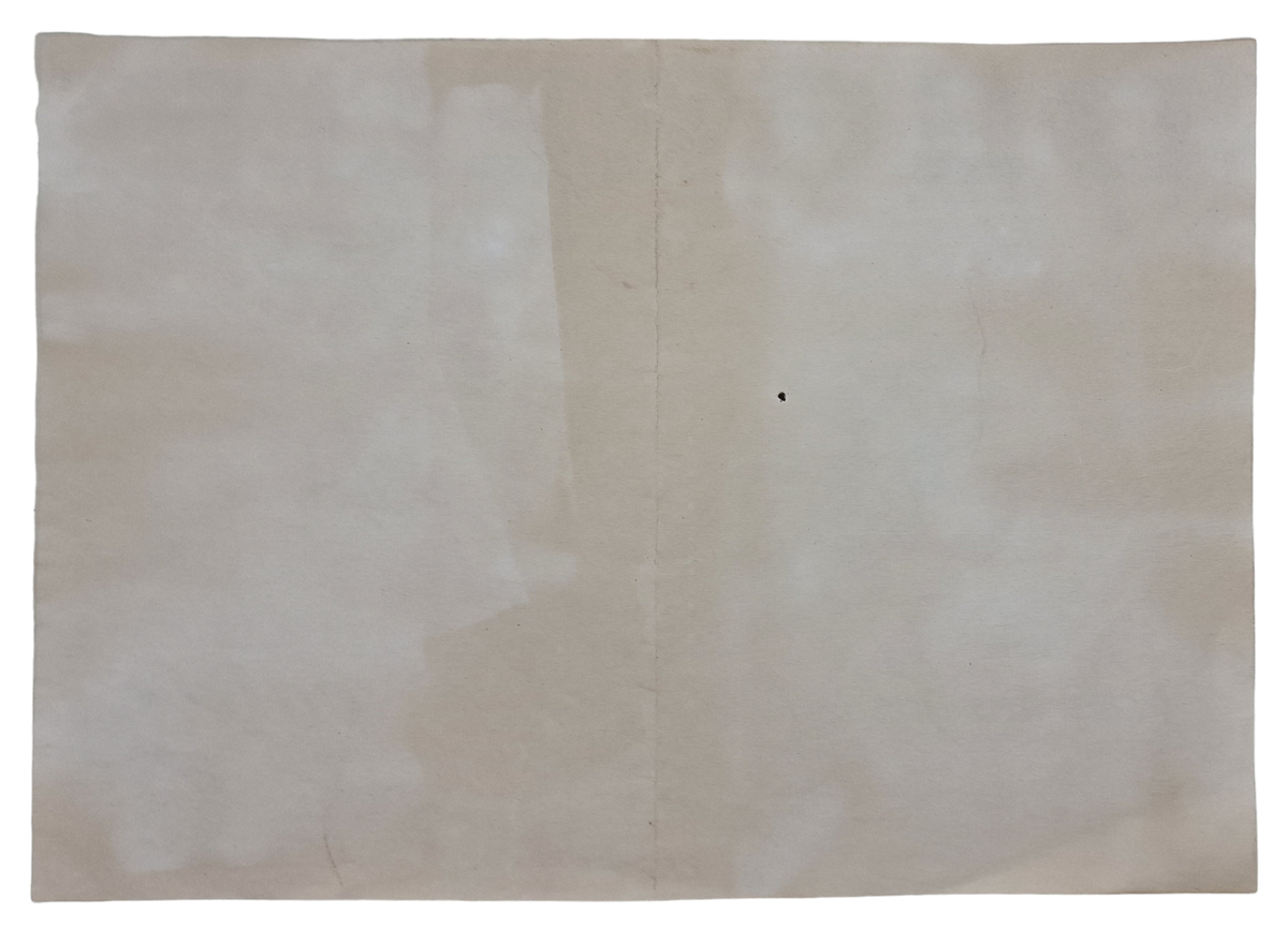 Original WW2 Walloon Collaboration REX Document - Small Leon Degrelle ...