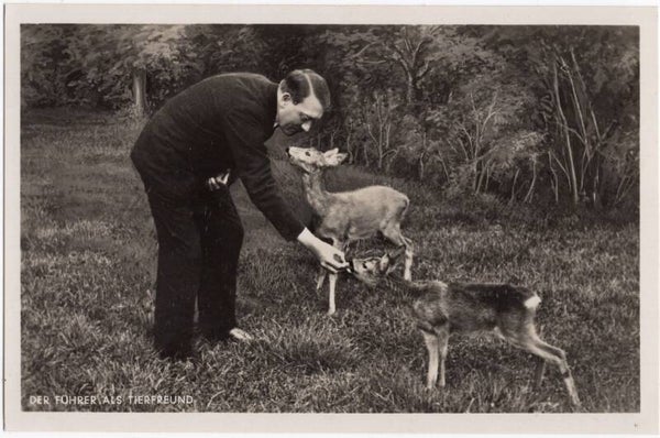 Original WW2 German Postcard - Adolf Hitler, Der Führer als tierfreund