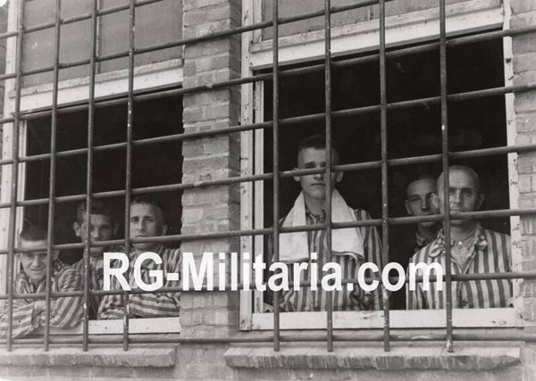 Original WW2 Dutch Press Photo - Dutch collaborator internment camp Vught, former Konzentrationslager Herzogenbusch (1945)