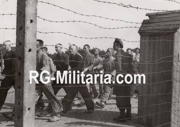 Original WW2 Dutch Press Photo - Dutch collaborator internment camp Vught, former Konzentrationslager Herzogenbusch (1945)