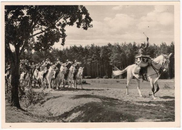 Original WW2 Flemish Waffen SS Postcard - ''Engagez-vous a la Waffen SS! Anvers'' Horse drummer