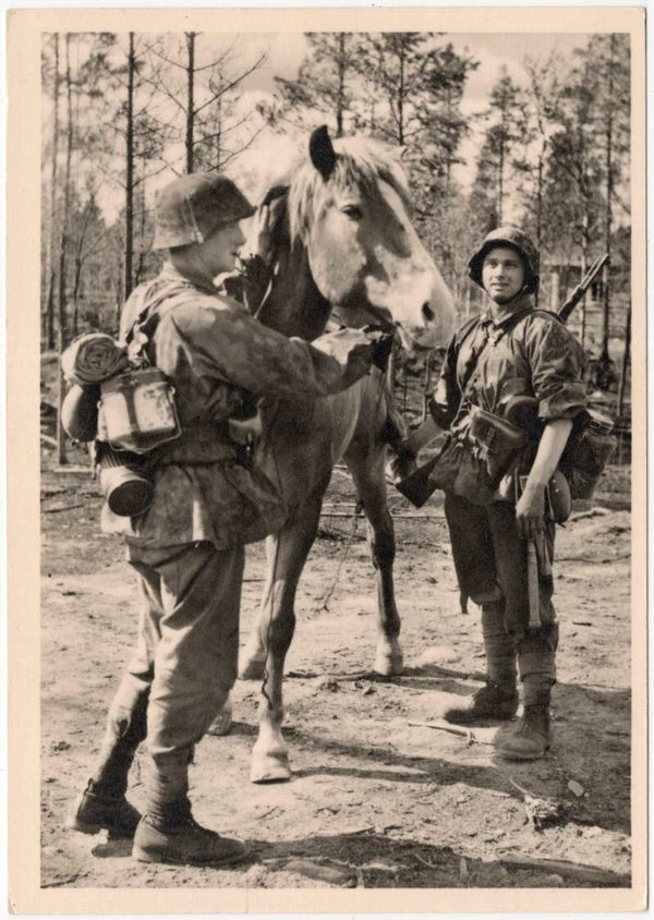 Original WW2 Flemish Waffen SS Postcard - ''Engagez-vous a la Waffen SS! Anvers'' Horse SS cavalry