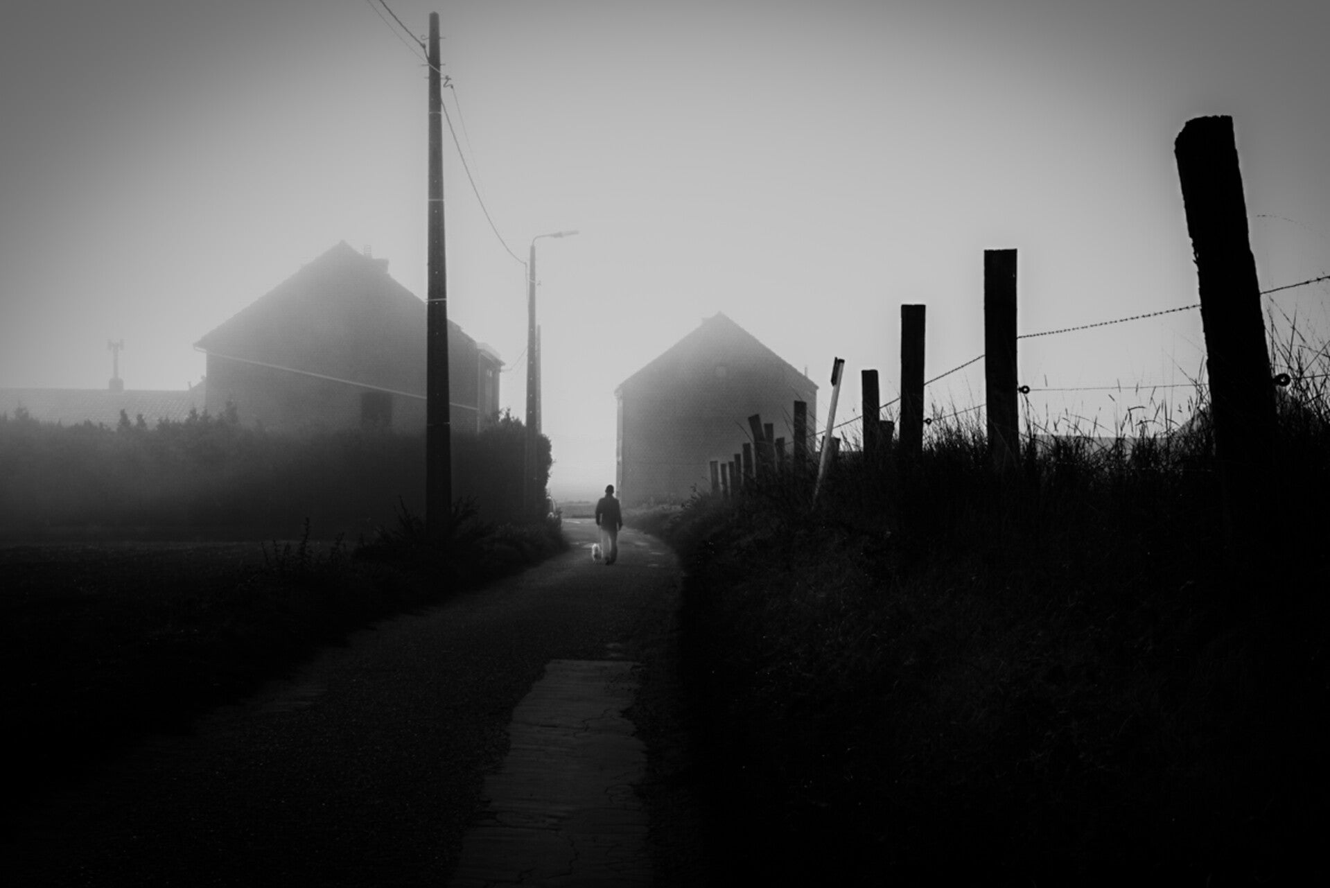 'Man with dog' - Eddy Verloes