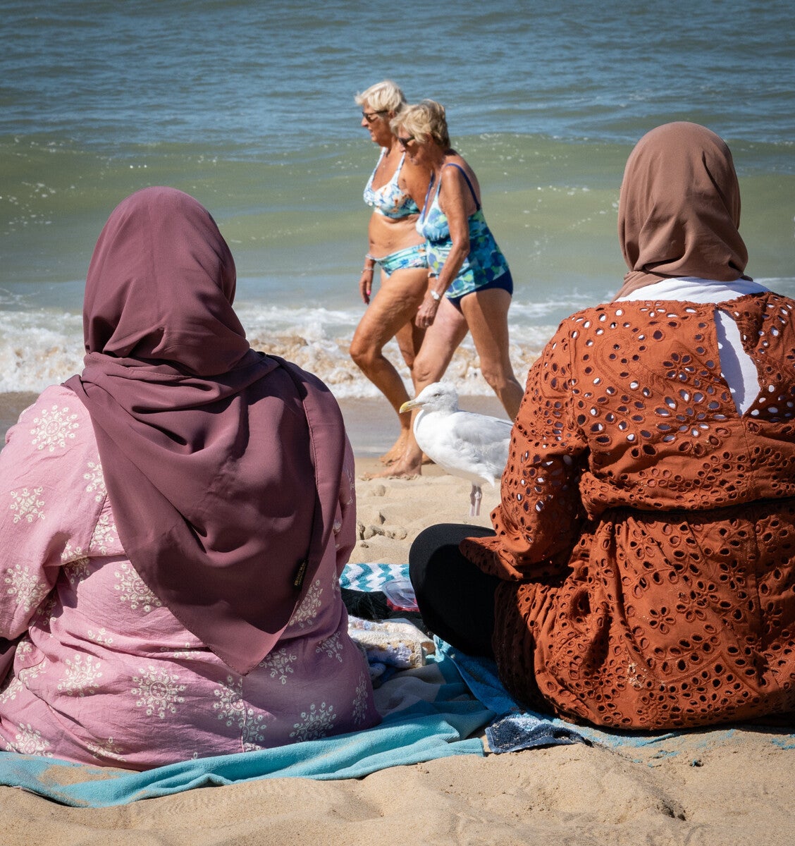 'The seagull' - Eddy Verloes