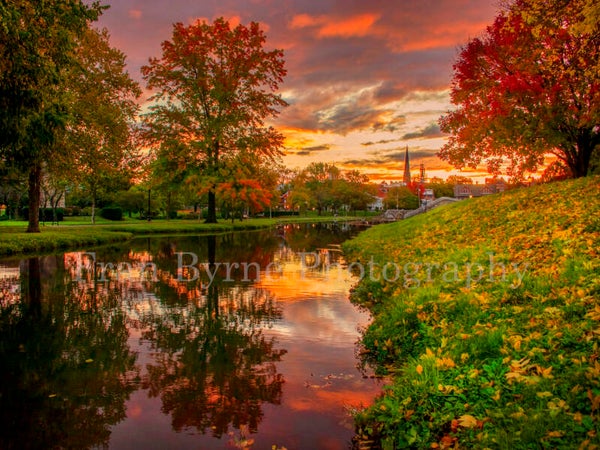 Carroll Creek 1