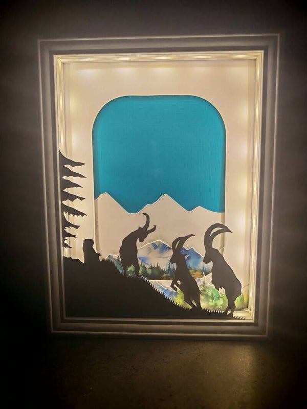 Combat de jeunes cornes