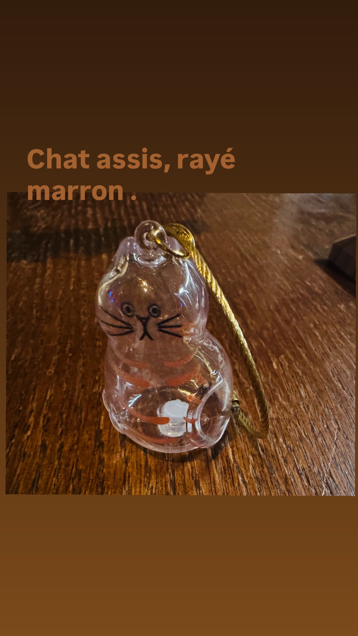 Porte clé 🔑 chat 🐱