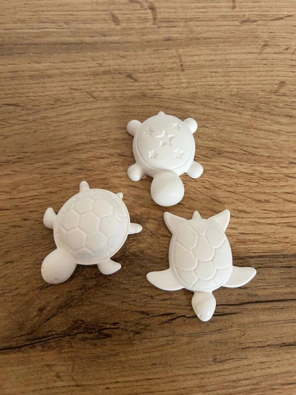 Mini Schildkröten