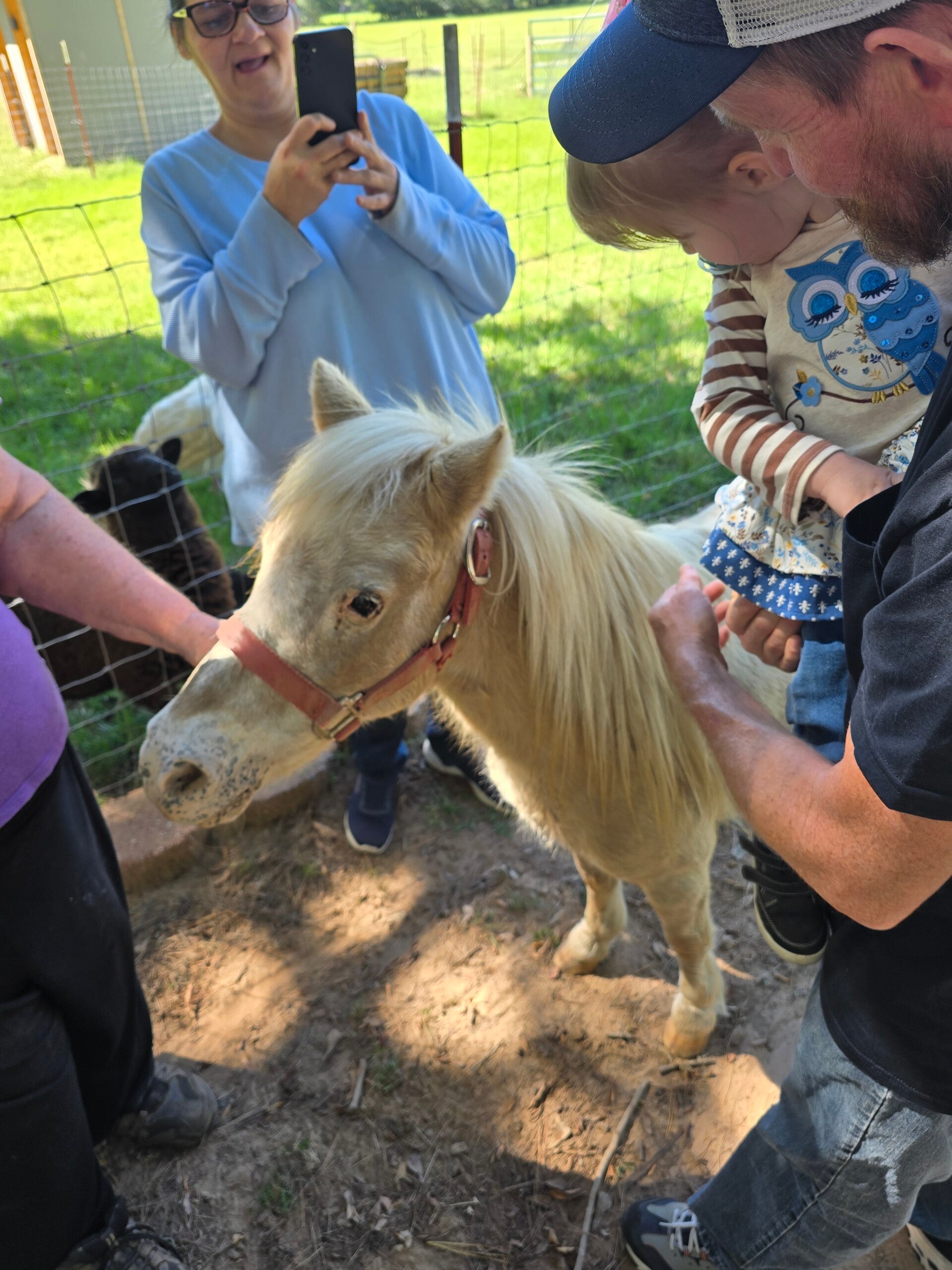 The Mayberry Farm Adventure for Kids photo 24