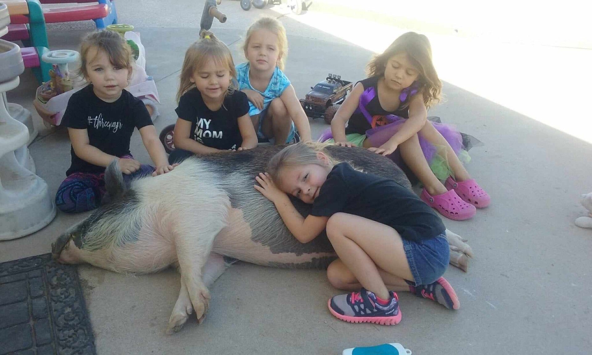 The Mayberry Farm Adventure for Kids photo 4