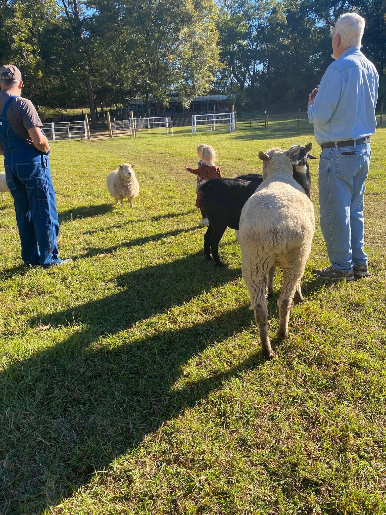 The Mayberry Farm Adventure for Kids photo 10
