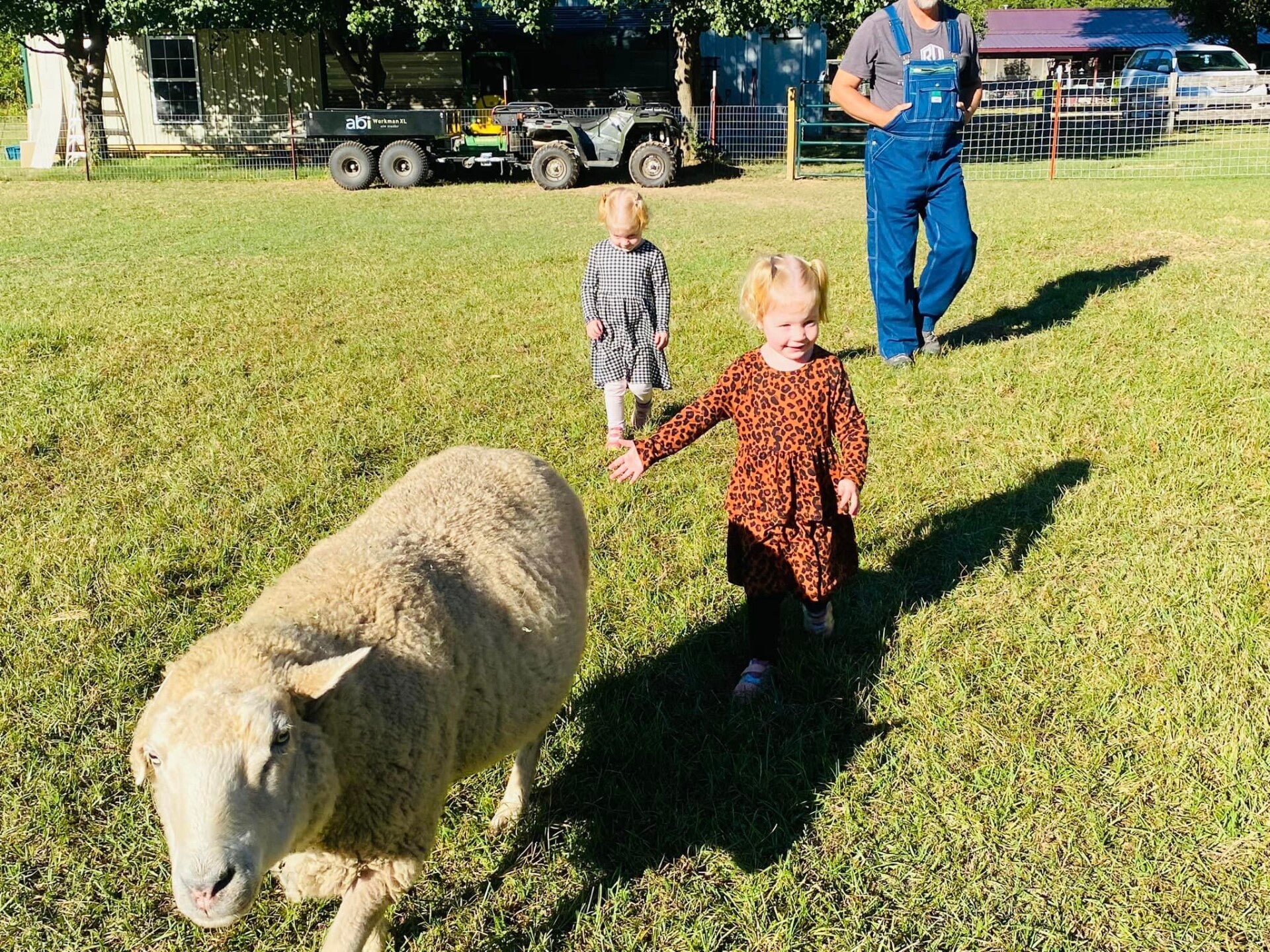 The Mayberry Farm Adventure for Kids photo 11