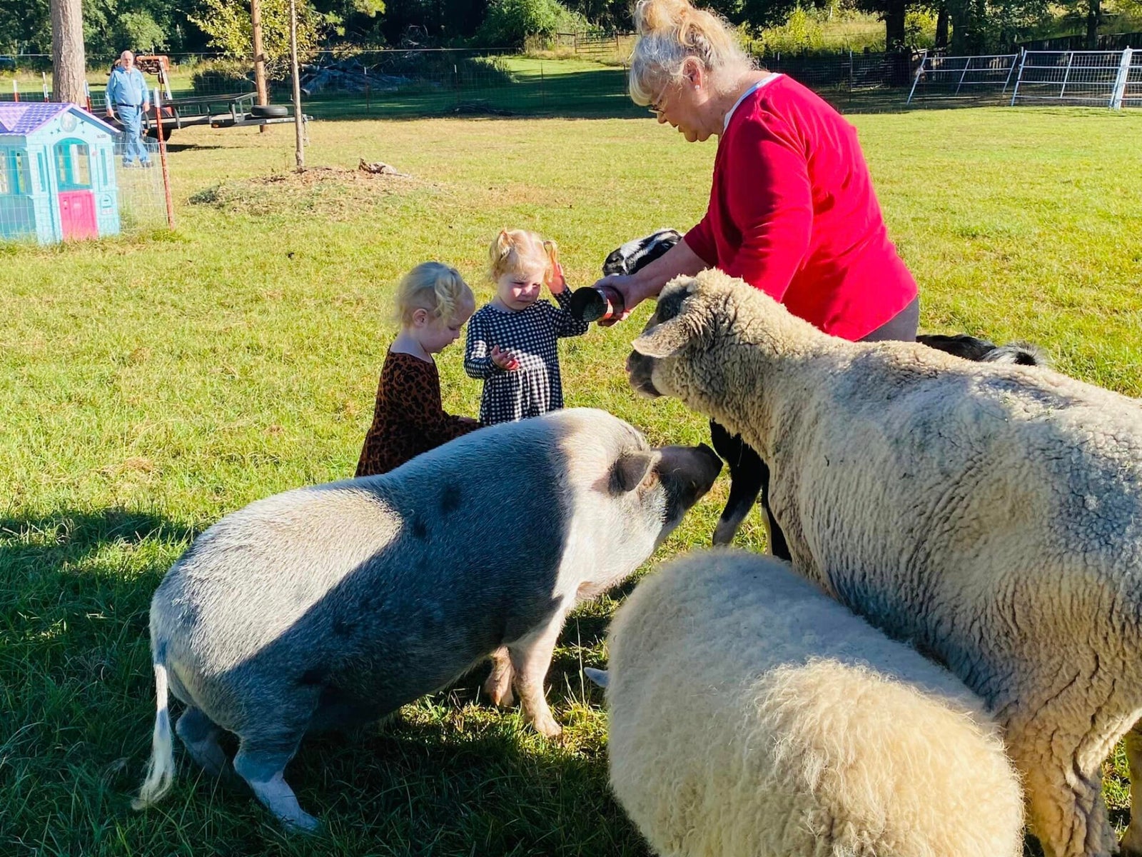 The Mayberry Farm Adventure for Kids photo 8