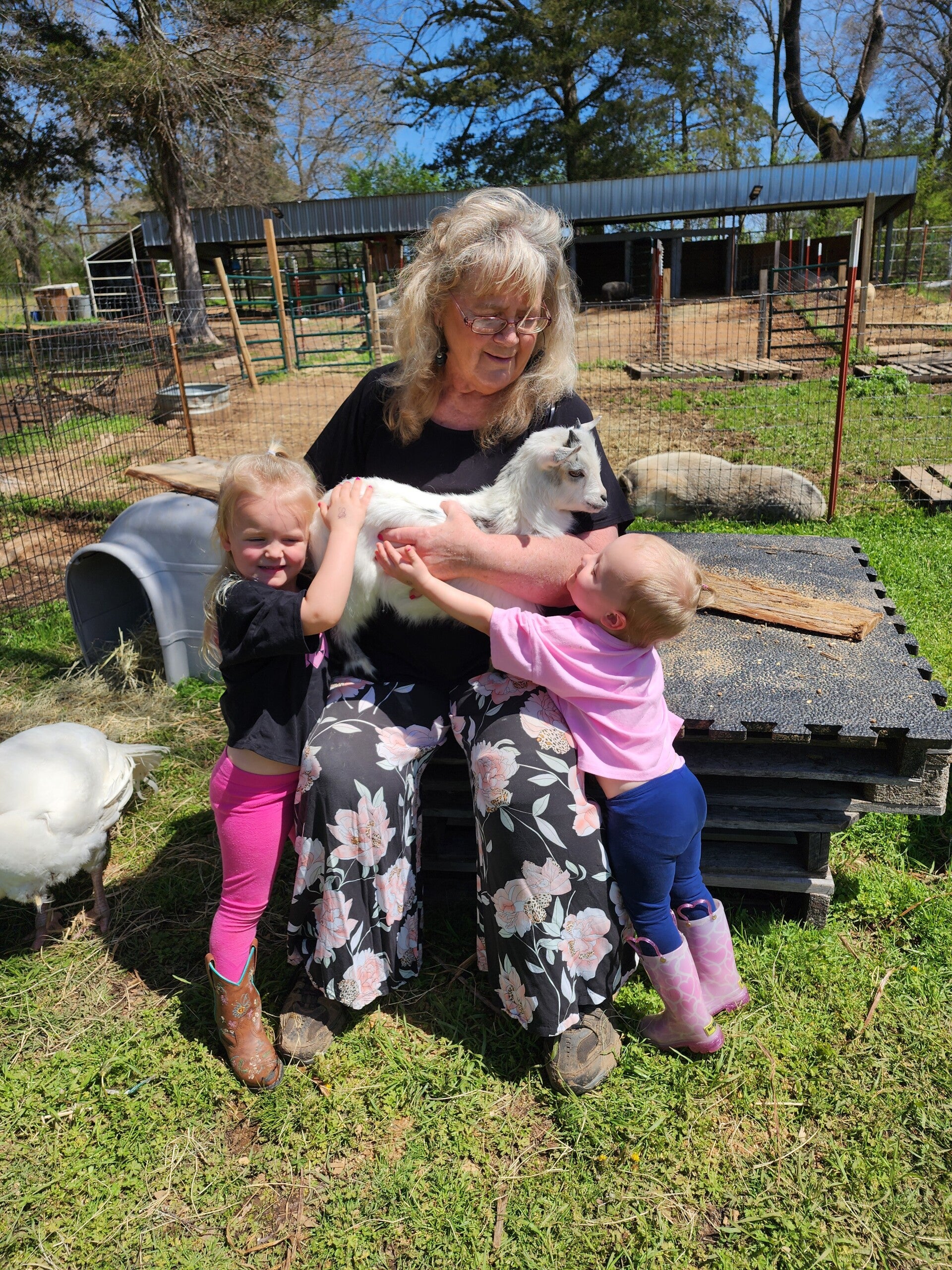 The Mayberry Farm Adventure for Kids photo 16