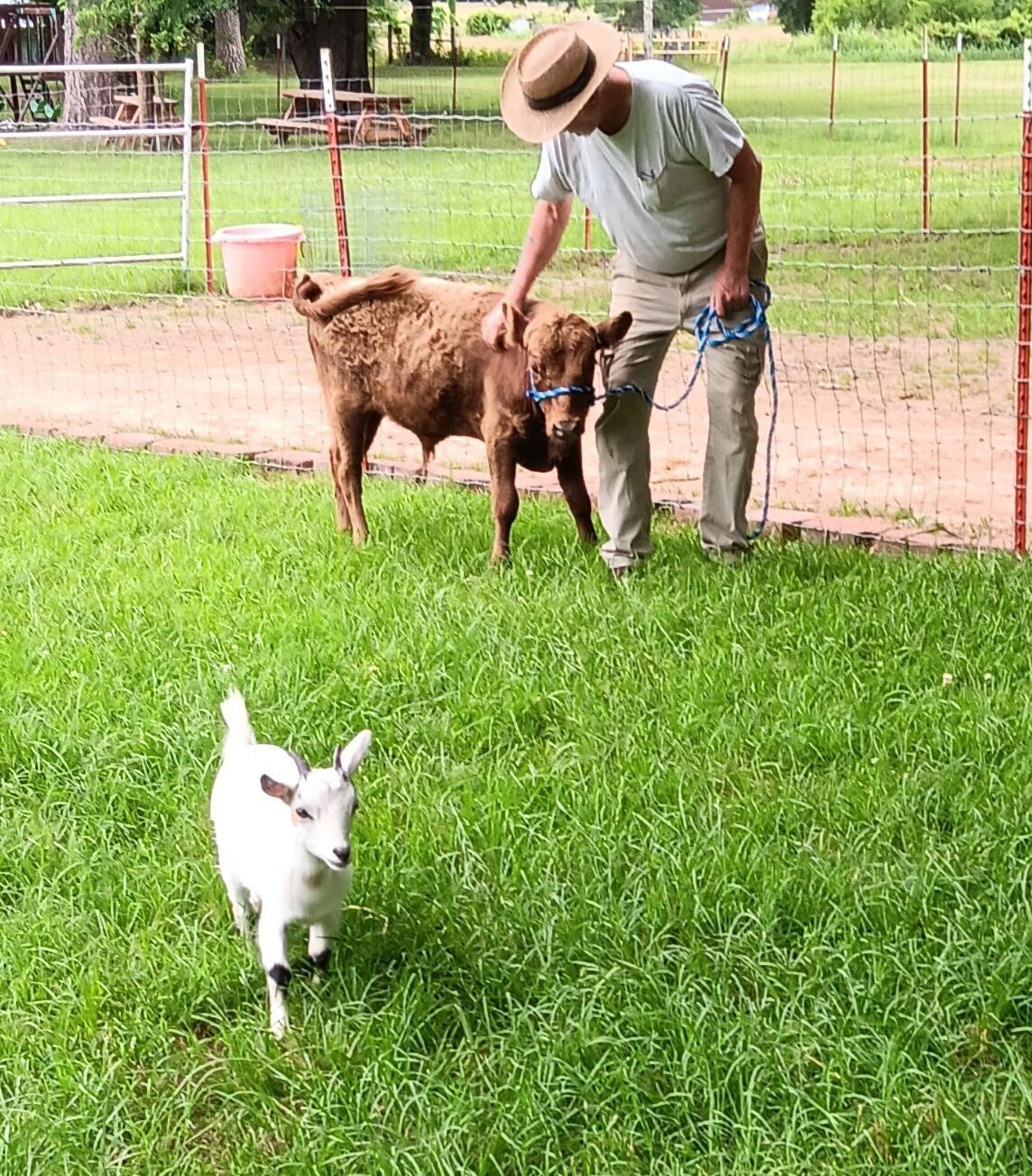 The Mayberry Farm Adventure for Kids photo 25