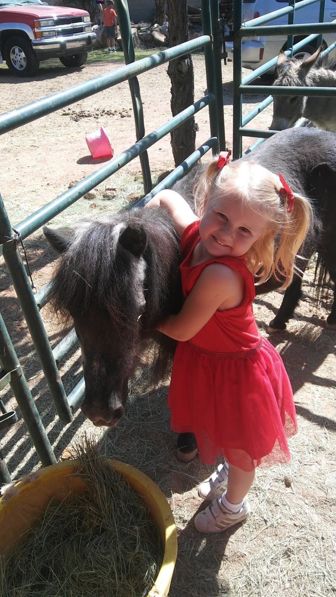 The Mayberry Farm Adventure for Kids photo 12