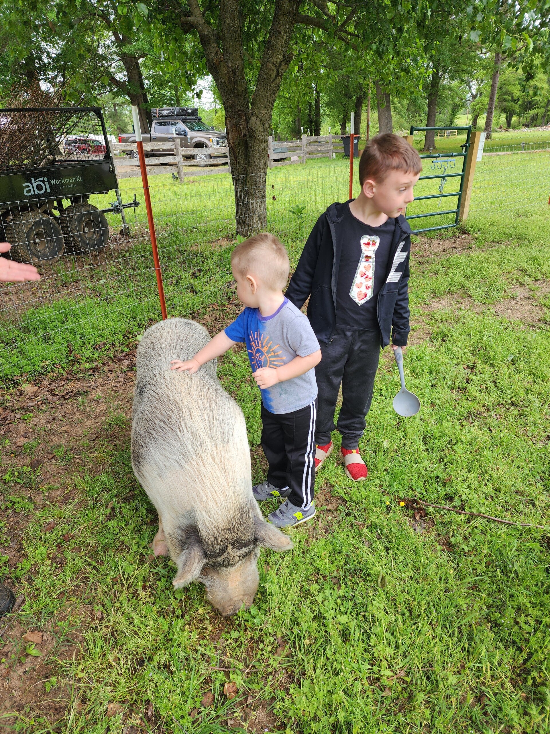 The Mayberry Farm Adventure for Kids photo 13