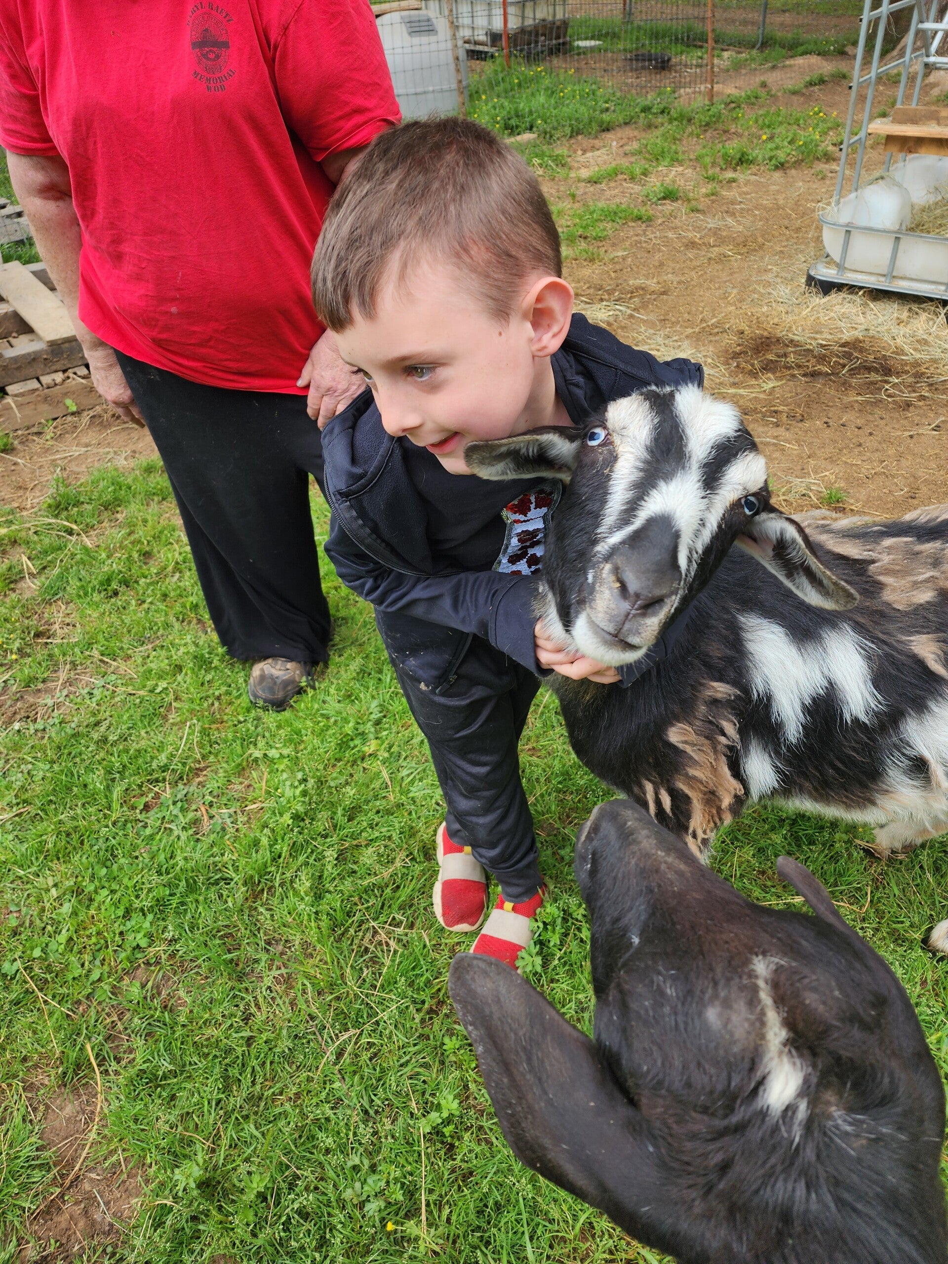 The Mayberry Farm Adventure for Kids photo 17