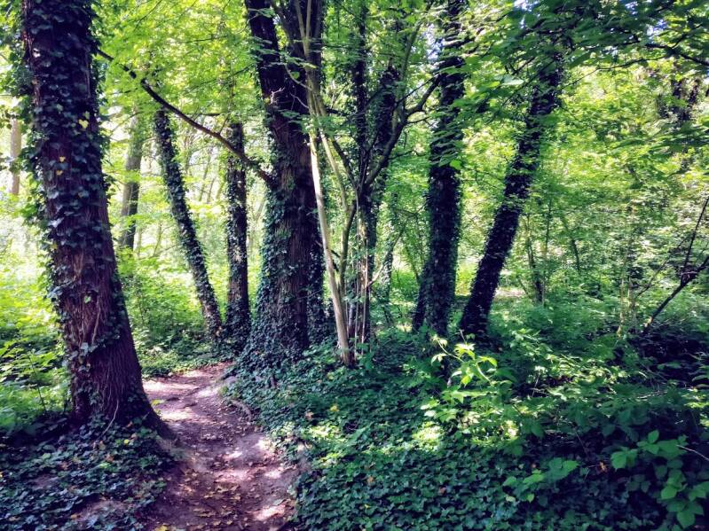 Stop met vechten | Energetisch Therapeut in Deurne