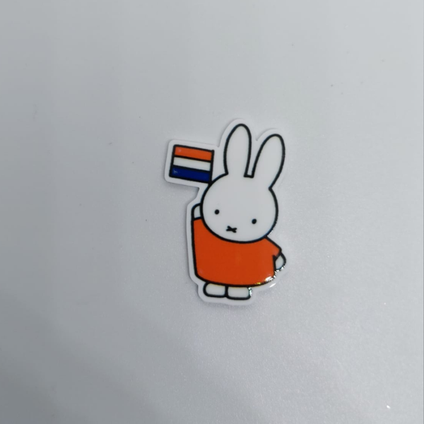 Konijn koningsdag