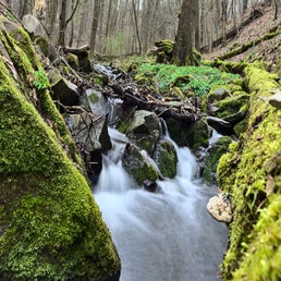 dsc01849-2.jpg