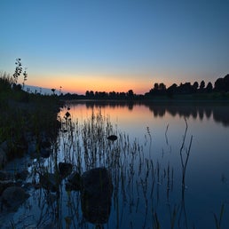 dsc08654_01-2.jpg