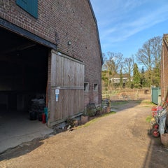1000027962-standard.jpg