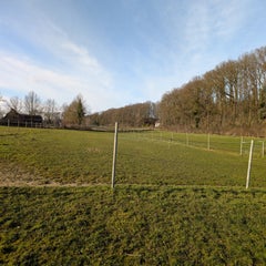 1000027984-standard.jpg