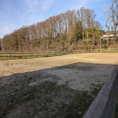 1000027991-standard.jpg