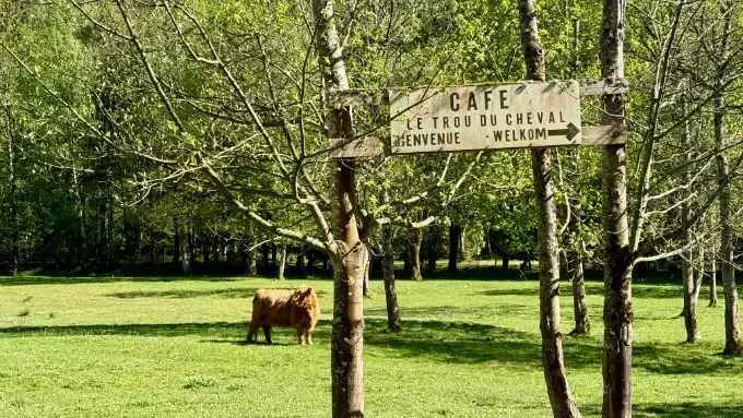 View on the fields at Camping Le Trou du Cheval