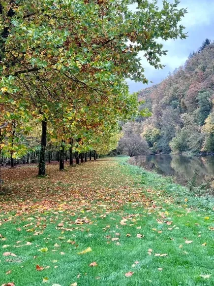 Camping Le Trou du Cheval en automne
